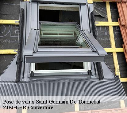 Pose de velux  saint-germain-de-tournebut-50700 ZIEGLER Couverture