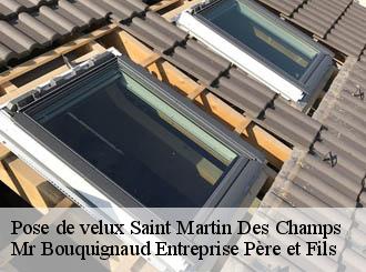 Pose de velux saint-martin-des-champs-50300 Mr Bouquignaud Entreprise Père et Fils