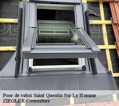 Pose de velux saint-quentin-sur-le-homme-50220 ZIEGLER Couverture