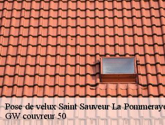 Pose de velux  saint-sauveur-la-pommeraye-50510 GW couvreur 50