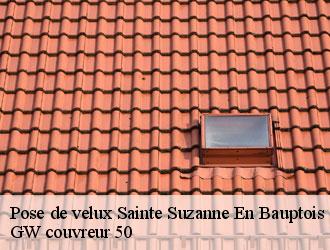 Pose de velux  sainte-suzanne-en-bauptois-50250 GW couvreur 50