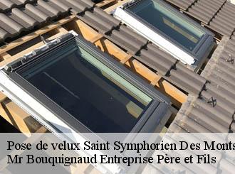 Pose de velux saint-symphorien-des-monts-50640 Mr Bouquignaud Entreprise Père et Fils