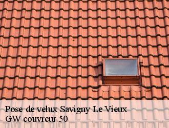 Pose de velux  savigny-le-vieux-50640 GW couvreur 50