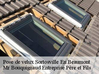 Pose de velux sortosville-en-beaumont-50270 Mr Bouquignaud Entreprise Père et Fils