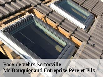 Pose de velux sortosville-50310 Mr Bouquignaud Entreprise Père et Fils