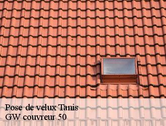Pose de velux  tanis-50170 GW couvreur 50