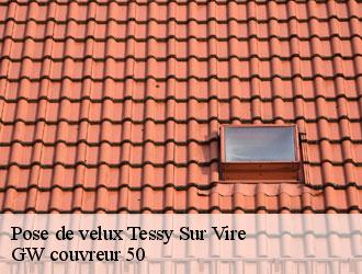 Pose de velux tessy-sur-vire-50420 GW couvreur 50
