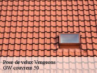 Pose de velux  vengeons-50150 GW couvreur 50