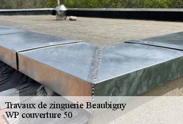 Travaux de zinguerie  beaubigny-50270 WP couverture 50