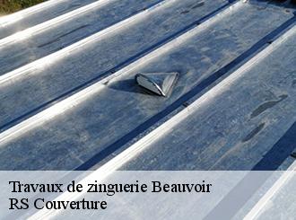 Travaux de zinguerie beauvoir-50170 Artisan Debard DM Habitat