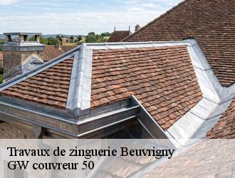 Travaux de zinguerie beuvrigny-50420 GW couvreur 50