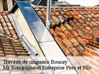Travaux de zinguerie boucey-50170 Mr Bouquignaud Entreprise Père et Fils