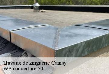 Travaux de zinguerie  canisy-50750 WP couverture 50