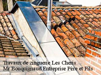 Travaux de zinguerie  les-cheris-50220 Mr Bouquignaud Entreprise Père et Fils