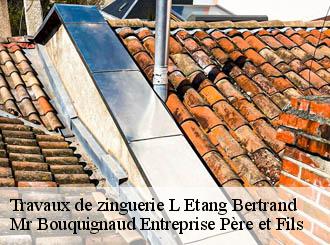 Travaux de zinguerie l-etang-bertrand-50260 Mr Bouquignaud Entreprise Père et Fils