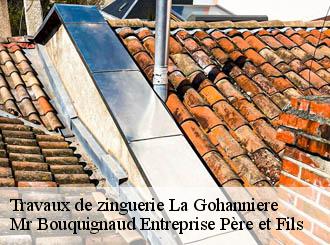 Travaux de zinguerie  la-gohanniere-50300 Mr Bouquignaud Entreprise Père et Fils