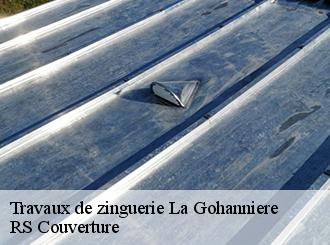 Travaux de zinguerie la-gohanniere-50300 RS Couverture