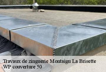 Travaux de zinguerie  montaigu-la-brisette-50700 WP couverture 50