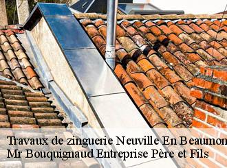 Travaux de zinguerie neuville-en-beaumont-50250 Mr Bouquignaud Entreprise Père et Fils