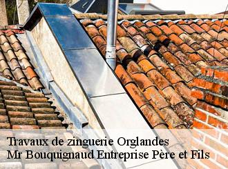Travaux de zinguerie  orglandes-50390 Mr Bouquignaud Entreprise Père et Fils