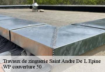 Travaux de zinguerie  saint-andre-de-l-epine-50680 WP couverture 50