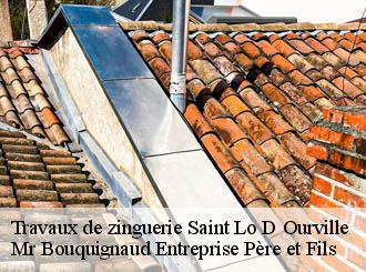 Travaux de zinguerie saint-lo-d-ourville-50580 Mr Bouquignaud Entreprise Père et Fils