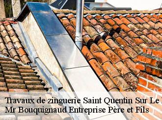 Travaux de zinguerie saint-quentin-sur-le-homme-50220 Mr Bouquignaud Entreprise Père et Fils