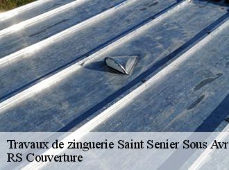 Travaux de zinguerie saint-senier-sous-avranches-50300 RS Couverture