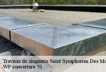 Travaux de zinguerie  saint-symphorien-des-monts-50640 WP couverture 50