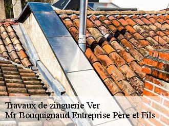 Travaux de zinguerie ver-50450 Mr Bouquignaud Entreprise Père et Fils