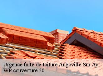 Urgence fuite de toiture  angoville-sur-ay-50430 WP couverture 50