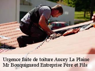 Urgence fuite de toiture aucey-la-plaine-50170 Mr Bouquignaud Entreprise Père et Fils
