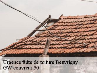 Urgence fuite de toiture beuvrigny-50420 GW couvreur 50
