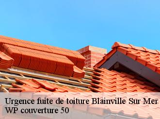 Urgence fuite de toiture  blainville-sur-mer-50560 WP couverture 50