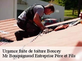 Urgence fuite de toiture  boucey-50170 Mr Bouquignaud Entreprise Père et Fils