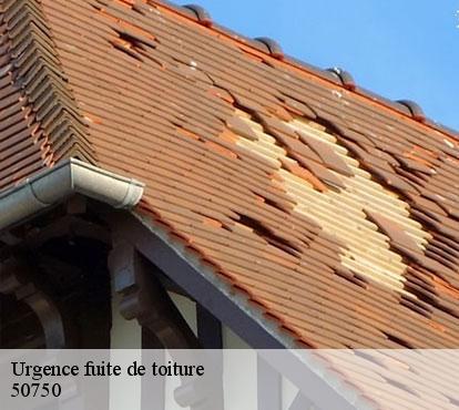 Urgence fuite de toiture  50750