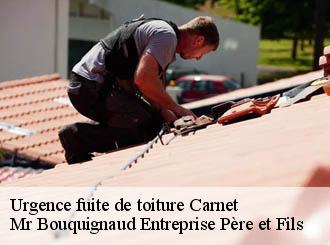 Urgence fuite de toiture carnet-50240 Mr Bouquignaud Entreprise Père et Fils