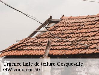 Urgence fuite de toiture cosqueville-50330 GW couvreur 50