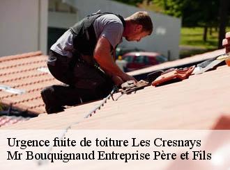 Urgence fuite de toiture les-cresnays-50370 Mr Bouquignaud Entreprise Père et Fils