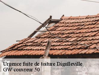 Urgence fuite de toiture  digulleville-50440 GW couvreur 50