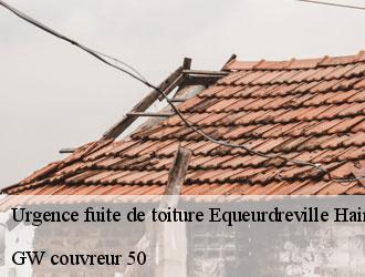 Urgence fuite de toiture equeurdreville-hainneville-50120 GW couvreur 50