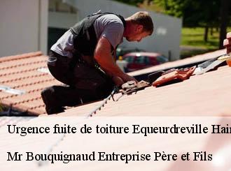 Urgence fuite de toiture  equeurdreville-hainneville-50120 Mr Bouquignaud Entreprise Père et Fils