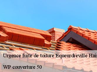 Urgence fuite de toiture  equeurdreville-hainneville-50120 WP couverture 50