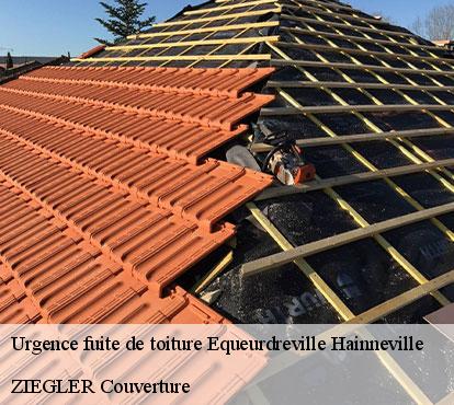 Urgence fuite de toiture  equeurdreville-hainneville-50120 ZIEGLER Couverture