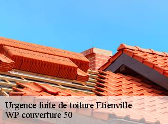 Urgence fuite de toiture  etienville-50360 WP couverture 50