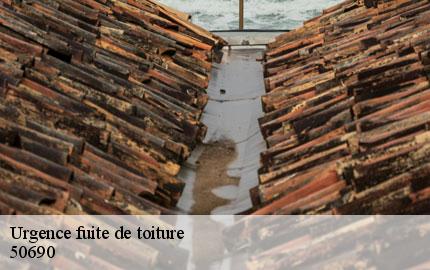 Urgence fuite de toiture flottemanville-hague-50690 GW couvreur 50