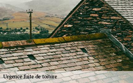 Urgence fuite de toiture flottemanville-hague-50690 GW couvreur 50