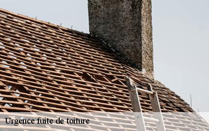 Urgence fuite de toiture flottemanville-hague-50690 GW couvreur 50