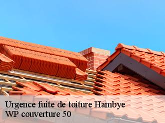 Urgence fuite de toiture  hambye-50450 WP couverture 50