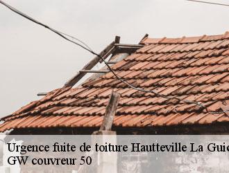 Urgence fuite de toiture hautteville-la-guichard-50570 GW couvreur 50